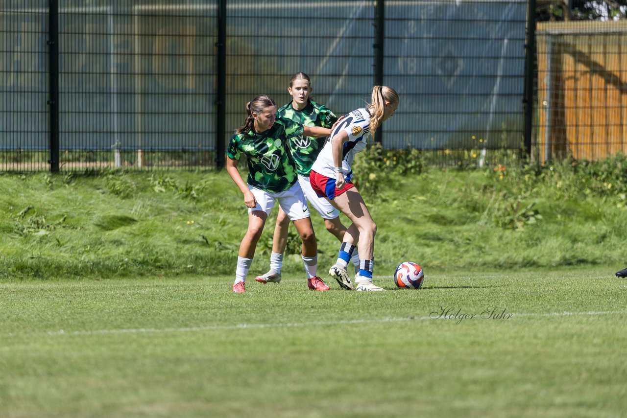 Bild 89 - wBJ Hamburger SV - VfL Wolfsburg : Ergebnis: 5:1